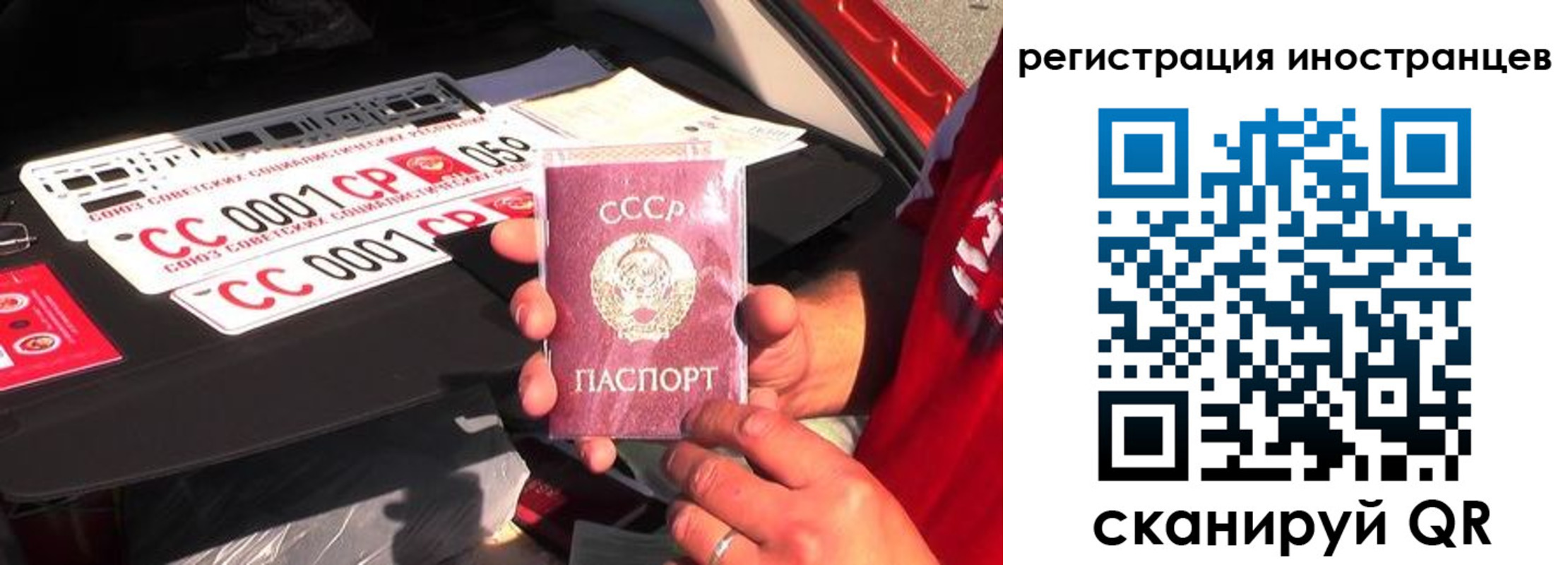 прописка гарантия в Карабаново